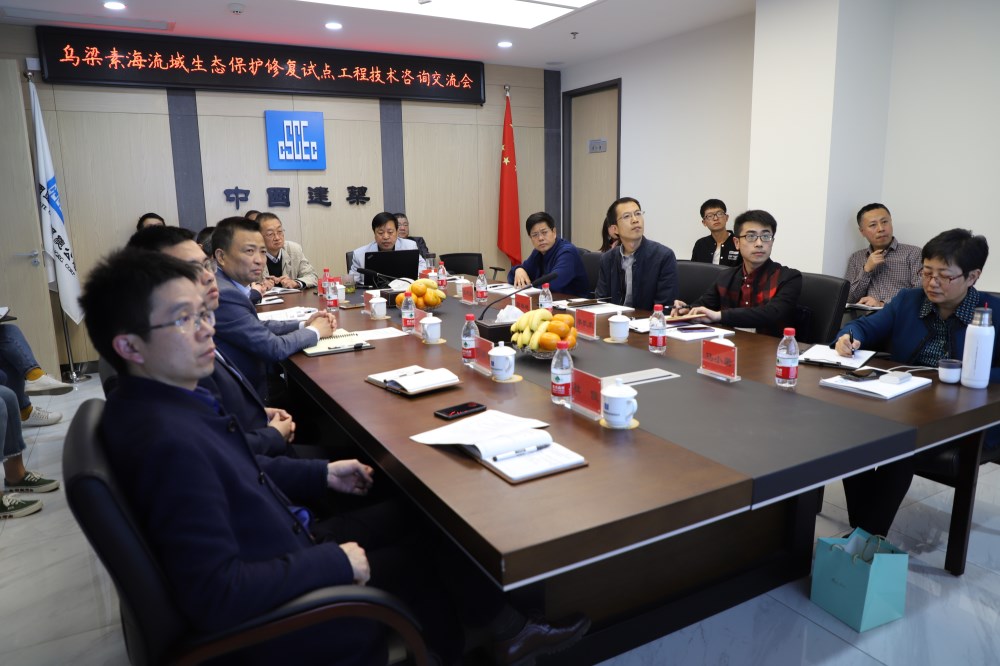 公司召開烏梁素海流域生態(tài)保護修復試點工程技術(shù)咨詢交流會